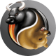 Логотип FxOpen
